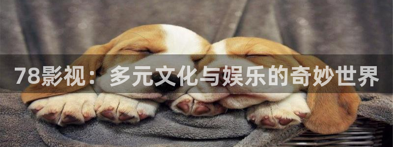 酷客影院色戒：78影视：多元文化与娱乐的奇妙世界