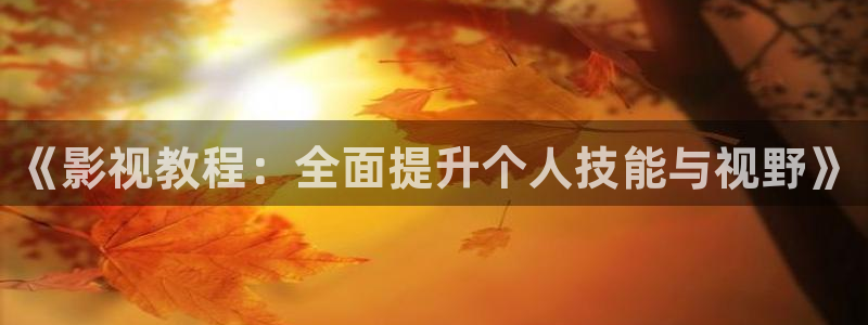 免费手机影院酷客：《影视教程：全面提升个人技能与视野》