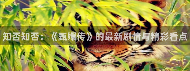 酷客影院旧版本：知否知否：《甄嬛传》的最新剧情与精彩看点