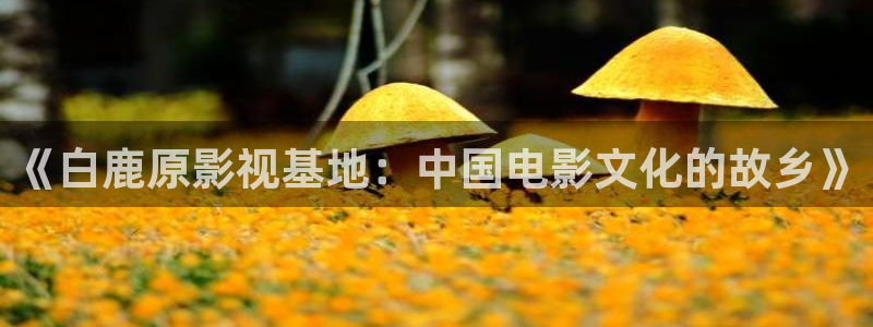 酷客影院最新网址：《白鹿原影视基地：中国电影文化的故乡》