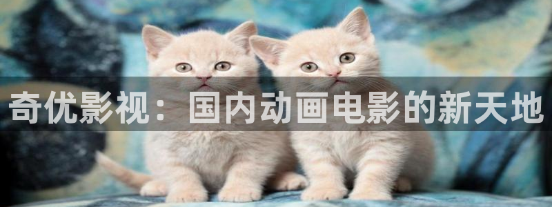 酷客影院 电视剧：奇优影视：国内动画电影的新天地